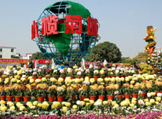Chrysanthemum Show in Xiaolan
